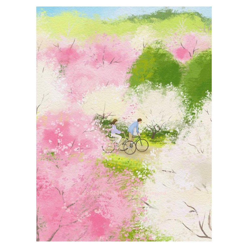 Discontinued-Momibook-Spring Cherry Blossom-500 Piece Puzzle