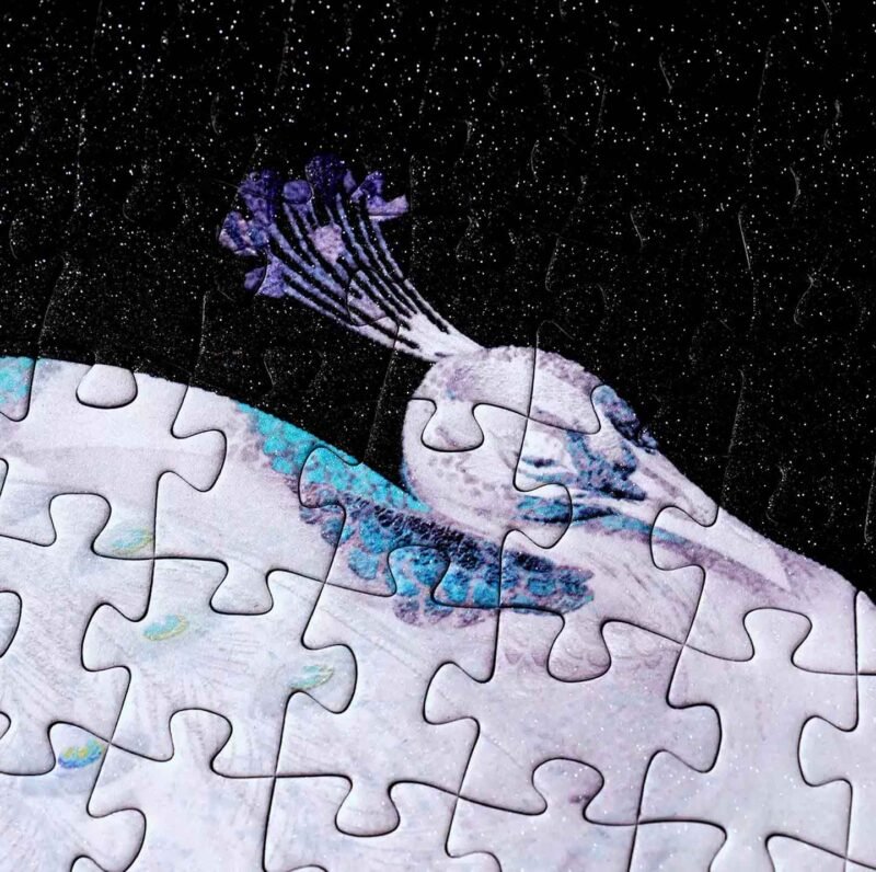 Toi Puzzle-Peacock (3) Toi-1000pcs Jigsaw Puzzle-Peacock