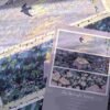Sparrow-The Midnight Spring-500pcs Jigsaw Puzzle